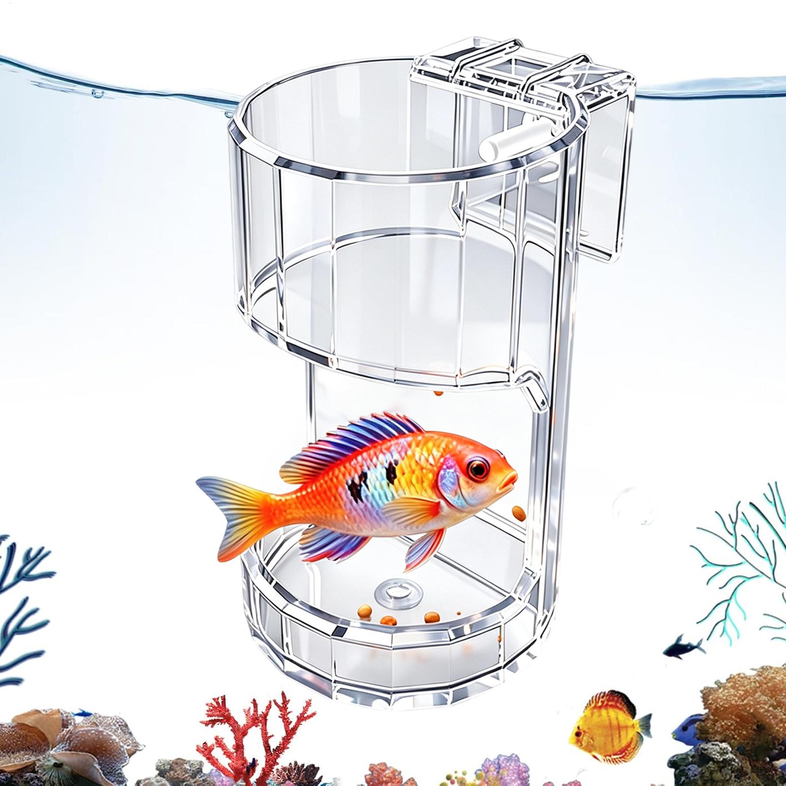 Aquarium Fish Price - Aquarium Feeding Dish Transparent Food Bowl