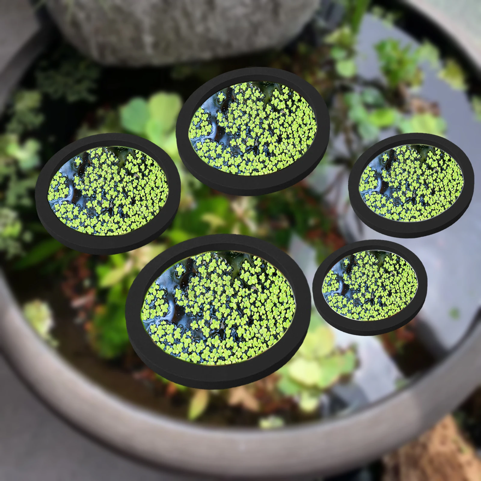 Aquarium Fish Food - 5Pcs EVA Fish Feeding Ring Aquarium