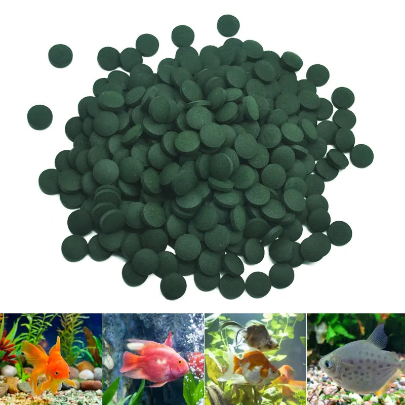 100-3000pc High Purity Spiruli - Aquarium Fish Price recension och pris