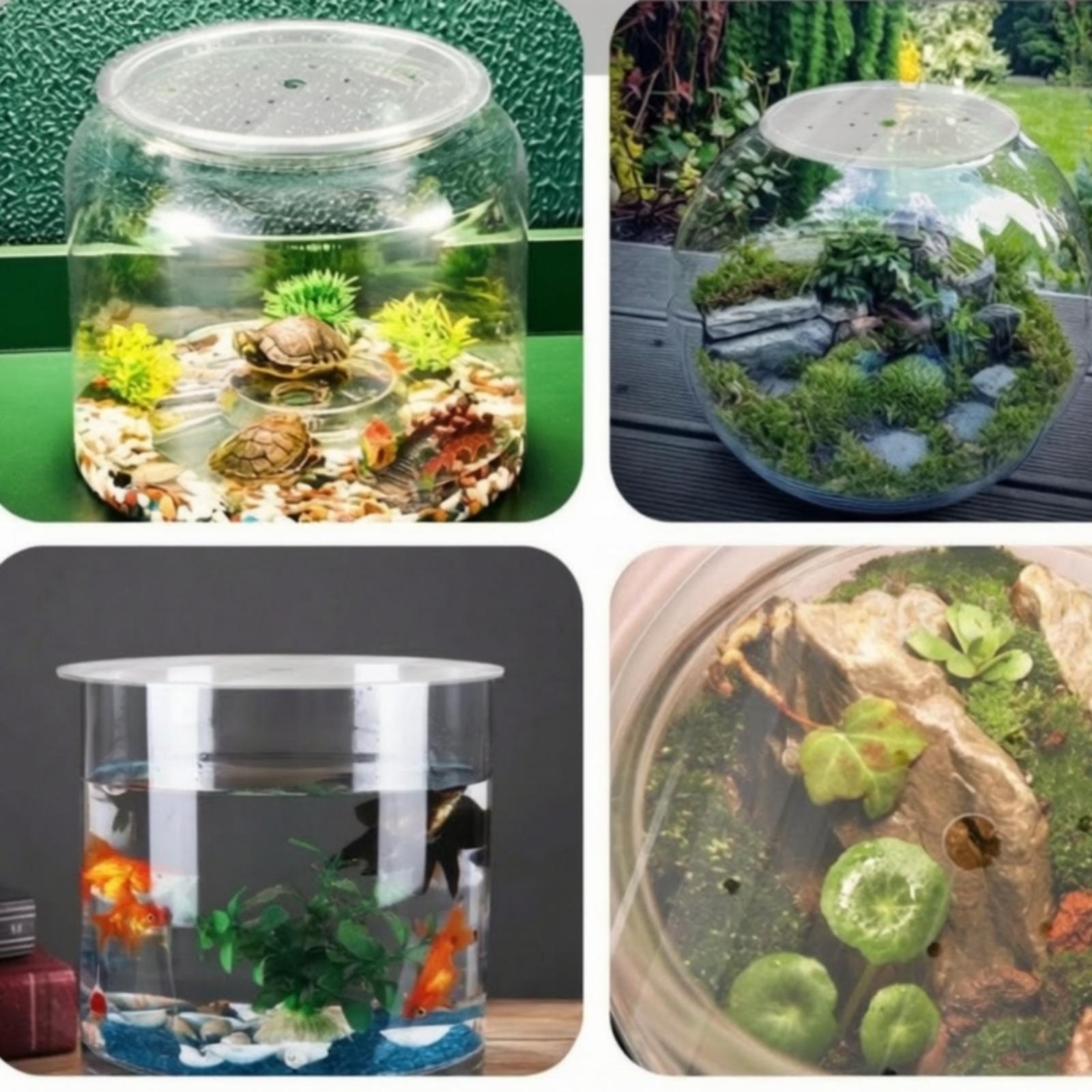 Round Acrylic Aquarium Cover L - Aquarium Fish Jumping recension och pris