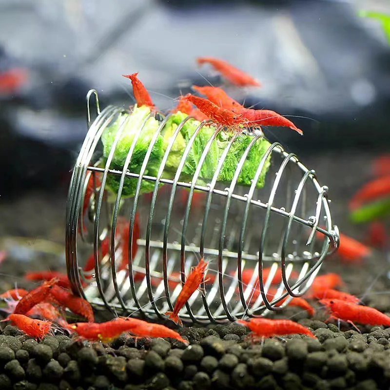 Stainless Steel Aquarium Small - Aquarium Fish Price recension och pris