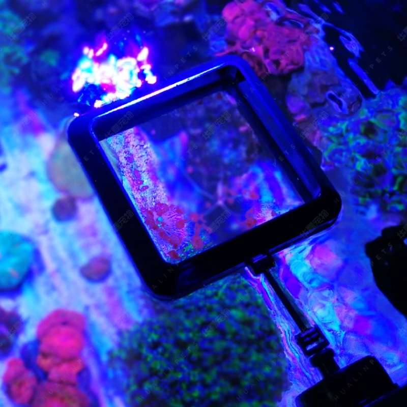 VASTOCEAN Magnetic Feeding Rin - Aquarium Fish Price recension och pris