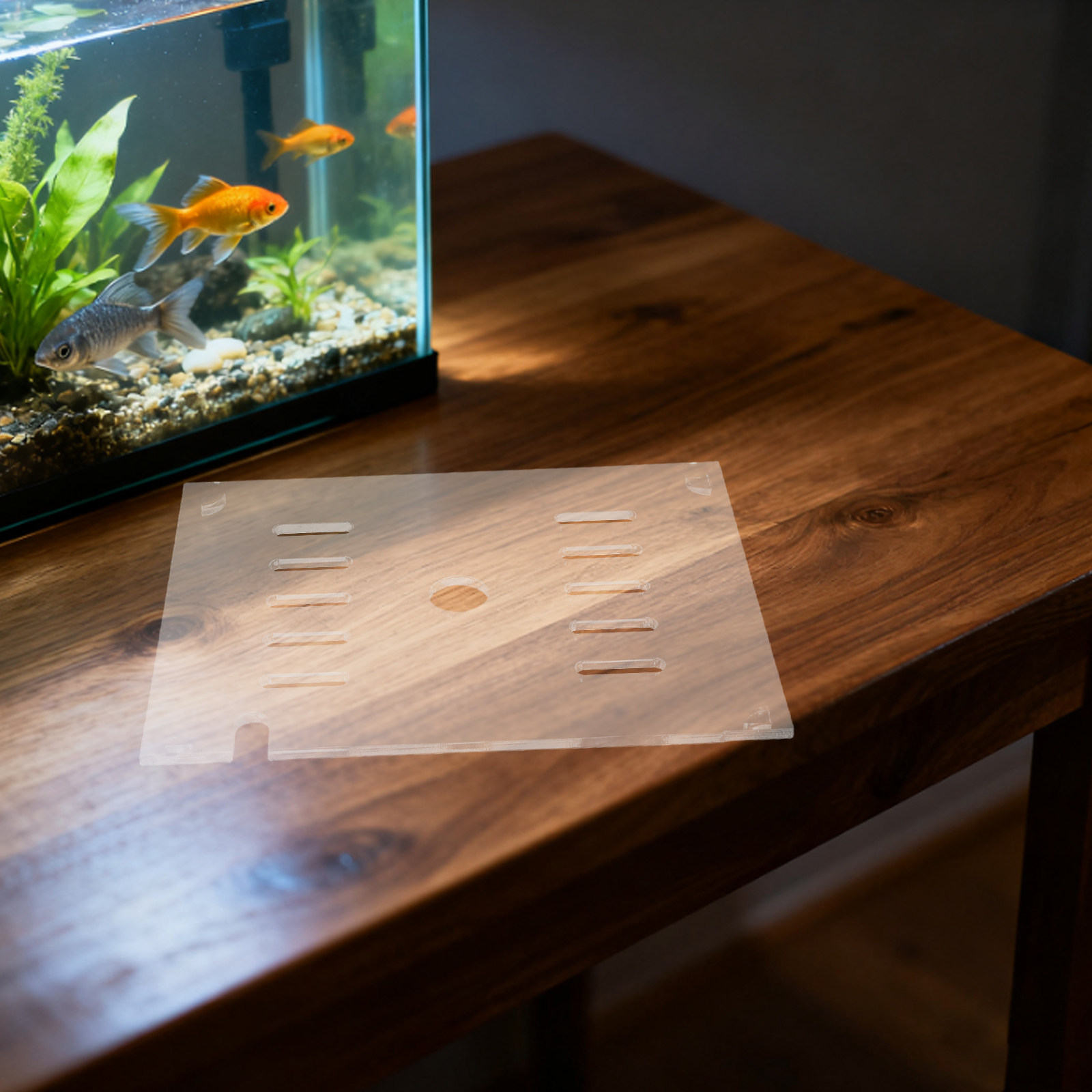 Aquarium Fish Tank Transparent - Aquarium Fish Jumping recension och pris