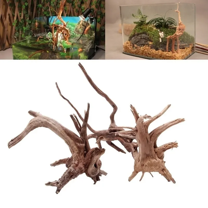 Natural Tree Trunk Driftwood A - Aquarium Fish Diseases recension och pris