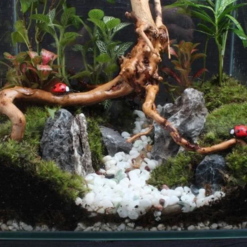 Natural Tree Trunk Driftwood A - Aquarium Fish Diseases recension och pris