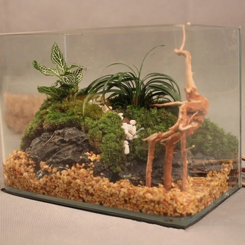 Natural Tree Trunk Driftwood A - Aquarium Fish Diseases recension och pris