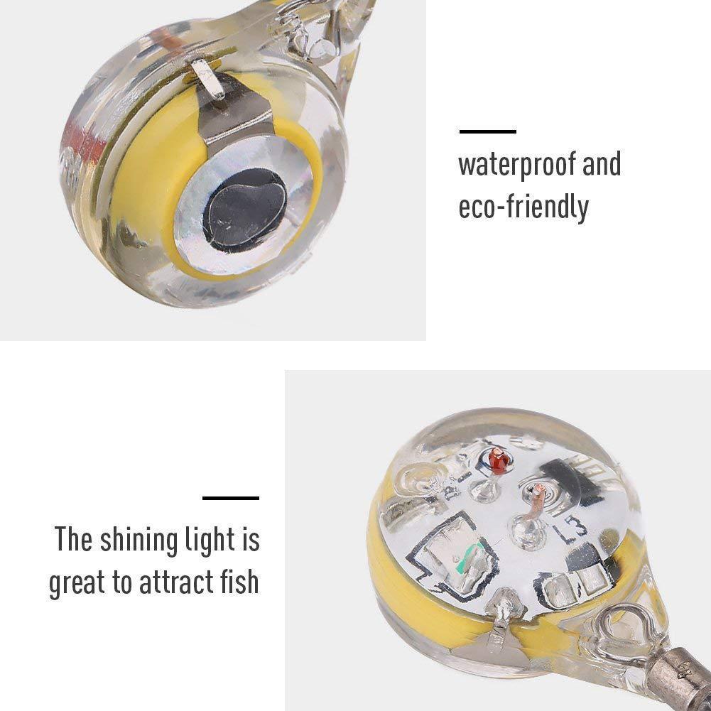 10pcs LED Attracting Fish Ligh - Aquarium Fish Diseases recension och pris