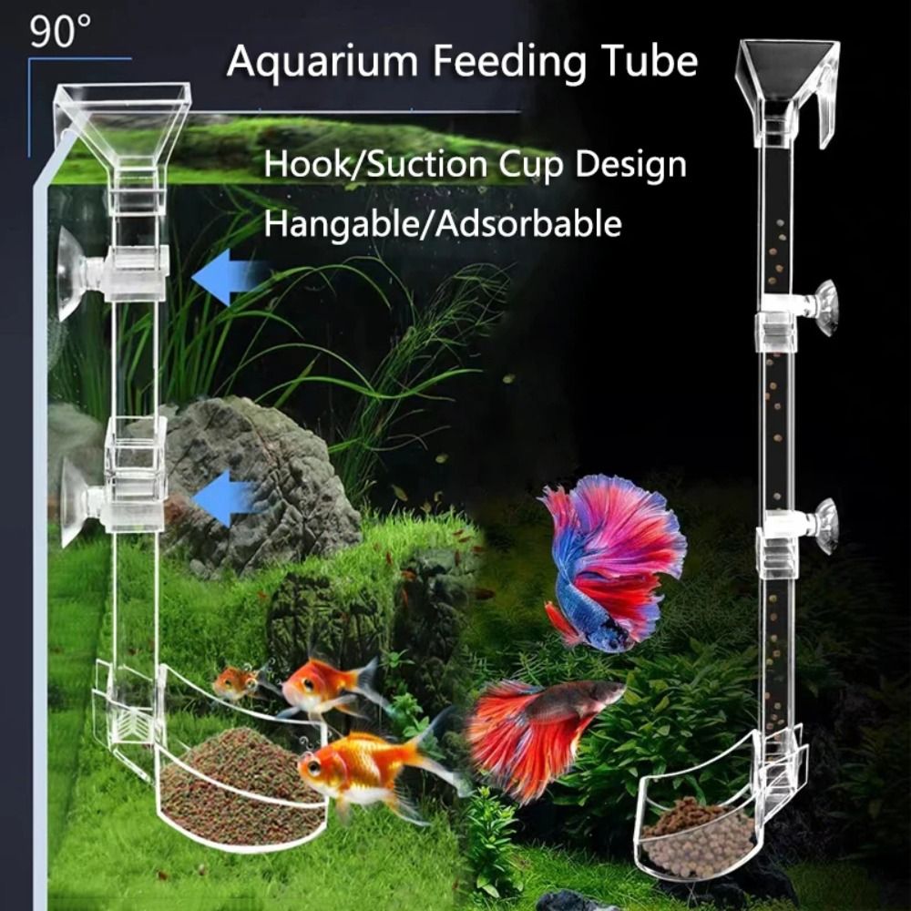 New Transparent Aquarium Fish  - Aquarium Fish Price recension och pris