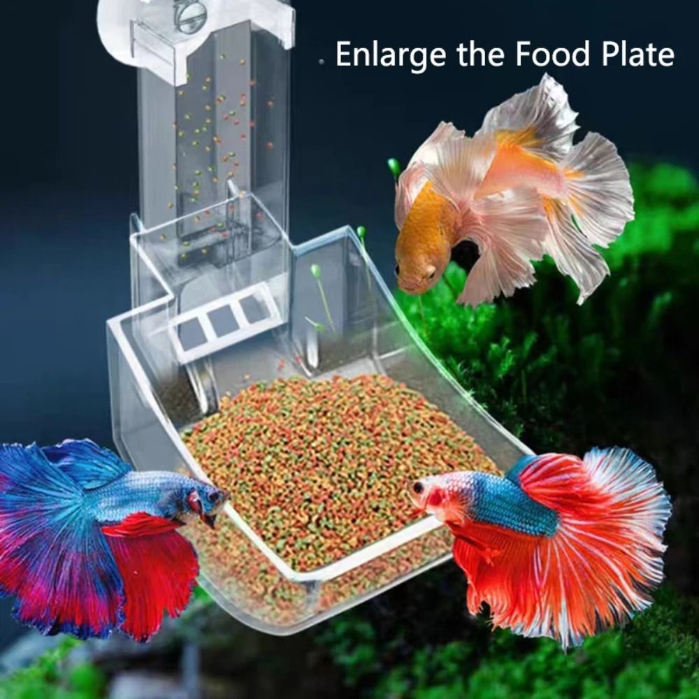 New Transparent Aquarium Fish  - Aquarium Fish Price recension och pris