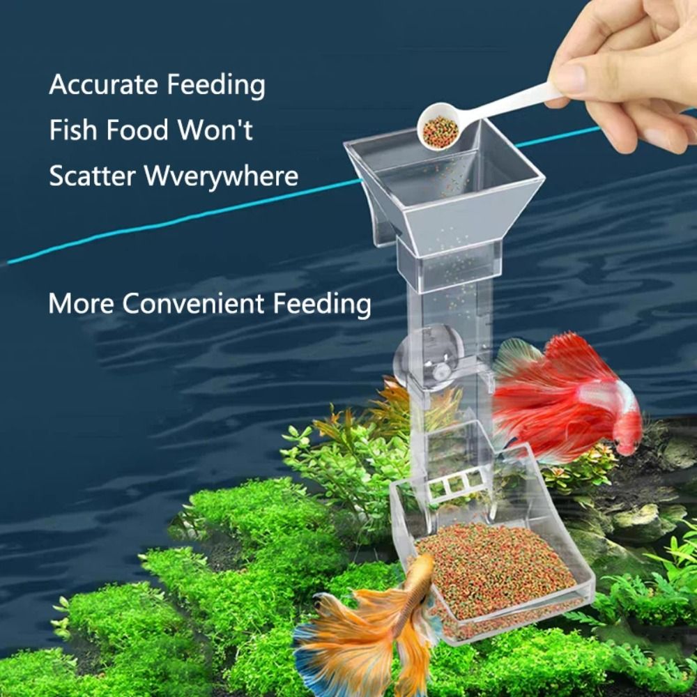 New Transparent Aquarium Fish  - Aquarium Fish Price recension och pris