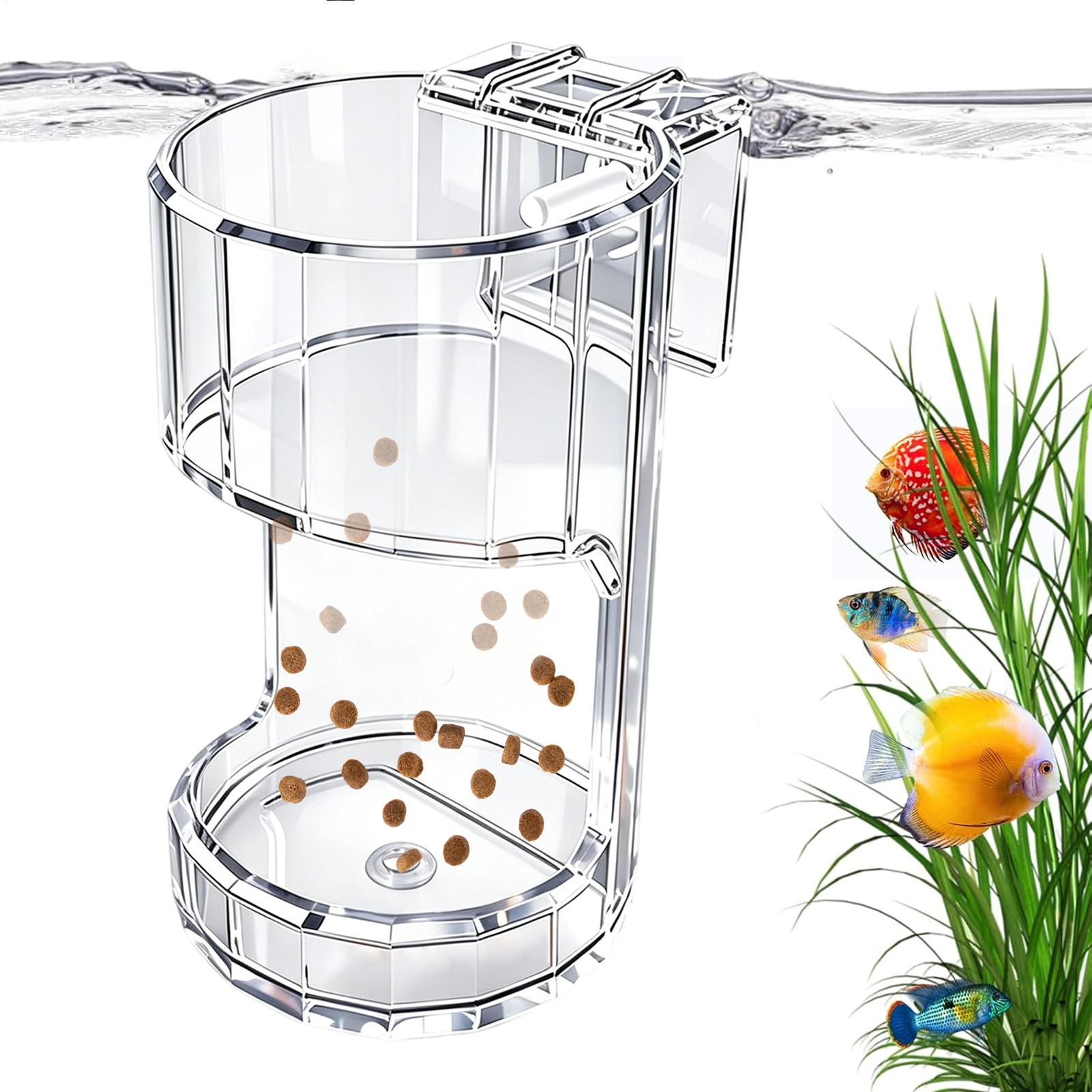 Aquarium Feeding Dish Transpar - Aquarium Fish Price recension och pris