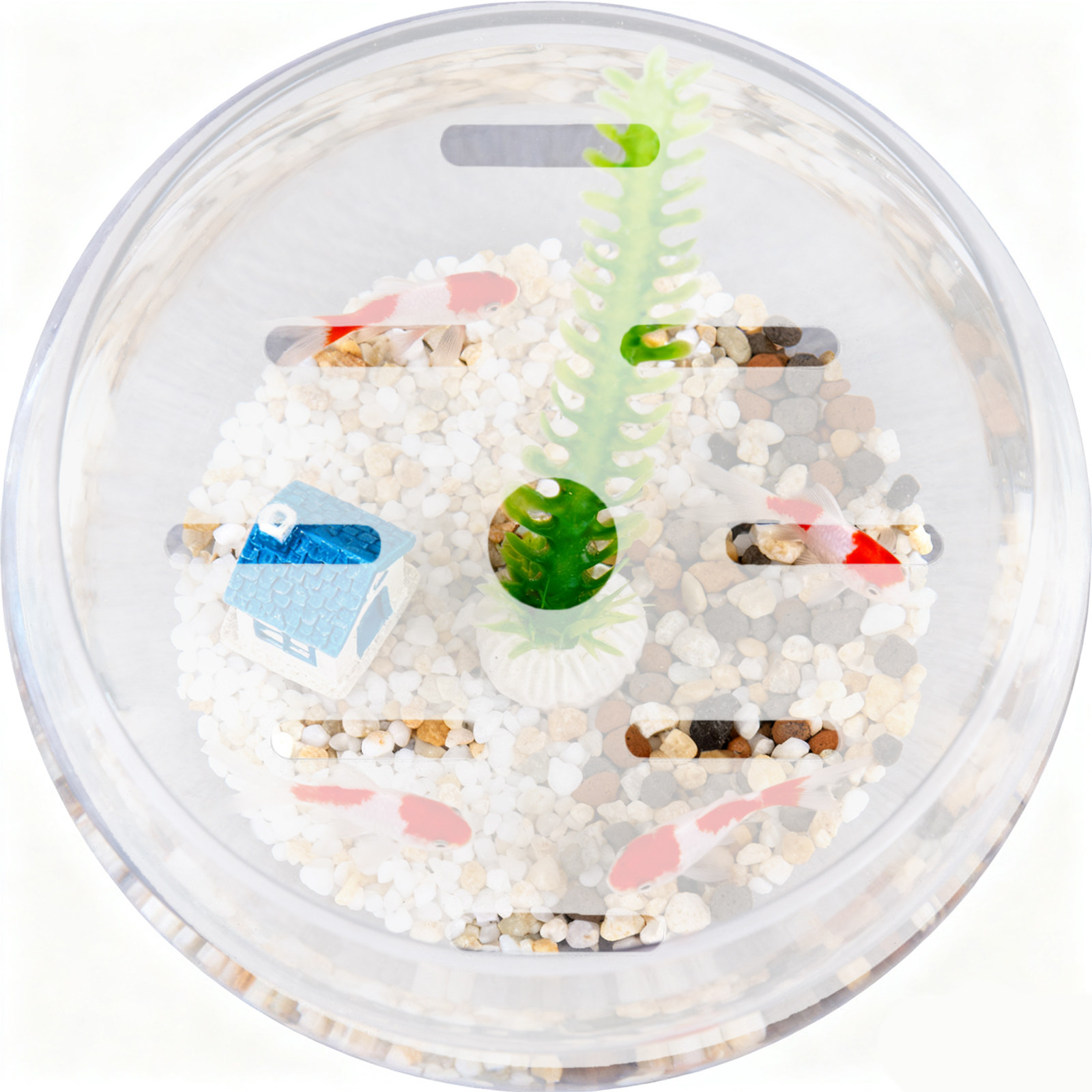 Acrylic Round Fish Tank Cover  - Aquarium Fish Jumping recension och pris