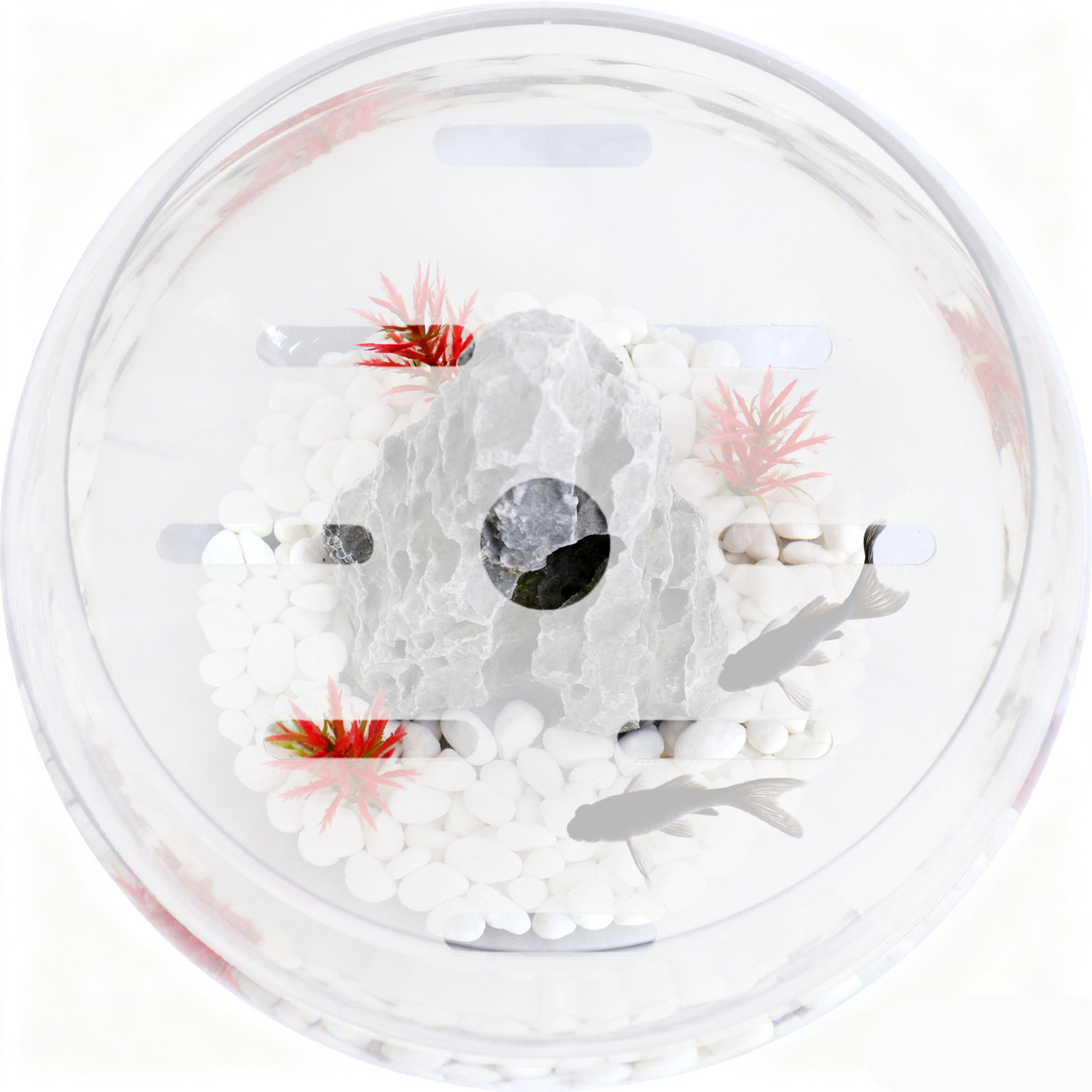 Acrylic Round Fish Tank Cover  - Aquarium Fish Jumping recension och pris
