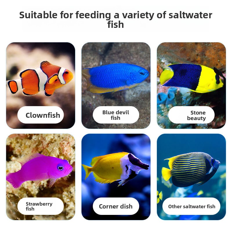 DEERA Clownfish & Tang Food |  - Aquarium Fish Price recension och pris