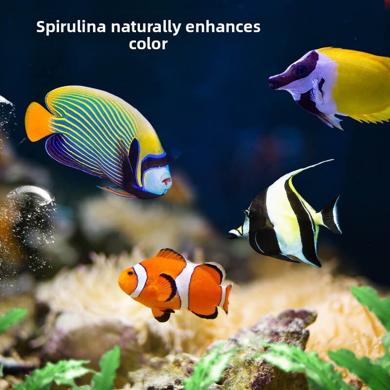 DEERA Clownfish & Tang Food |  - Aquarium Fish Price recension och pris