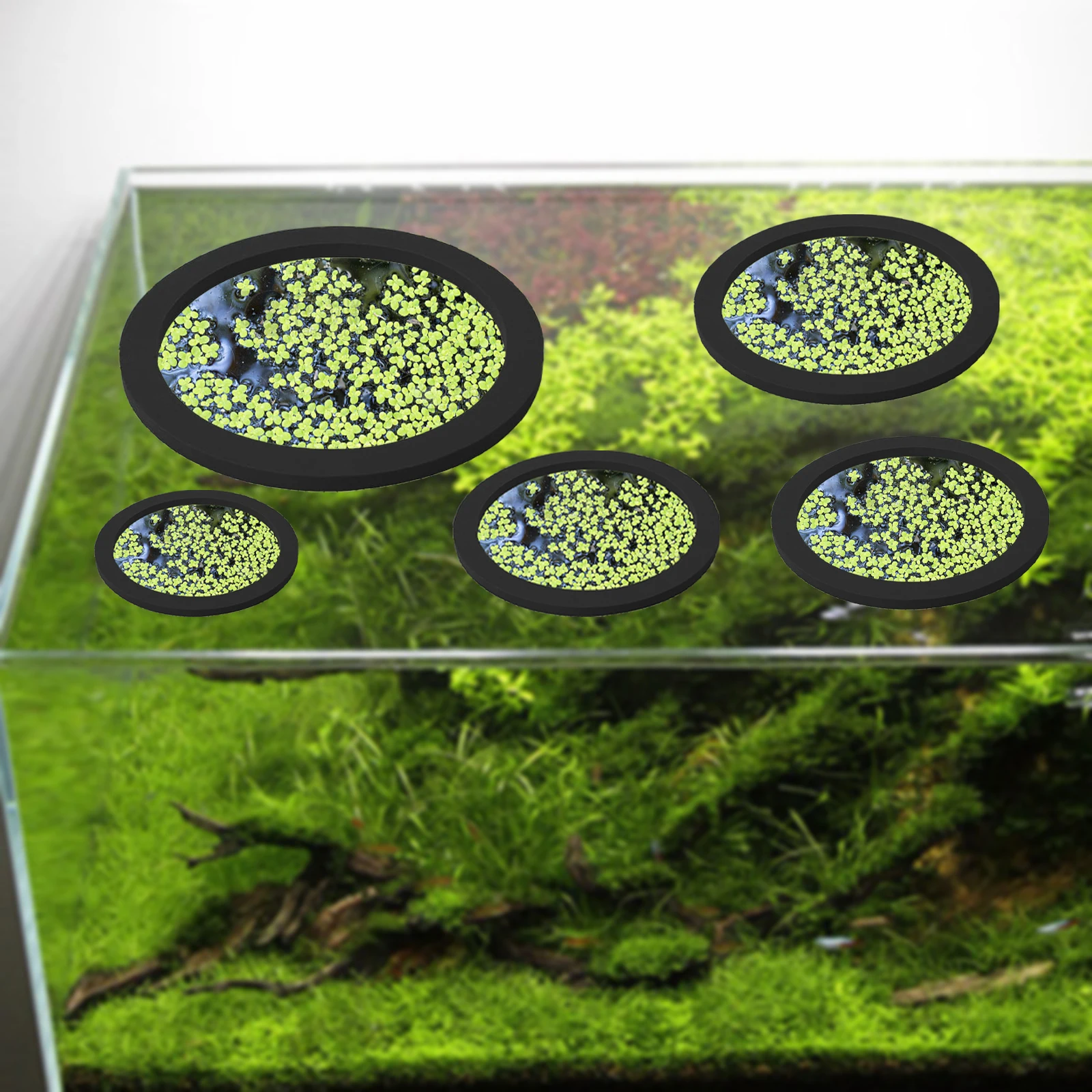 5Pcs EVA Fish Feeding Ring Aqu - Aquarium Fish Food recension och pris