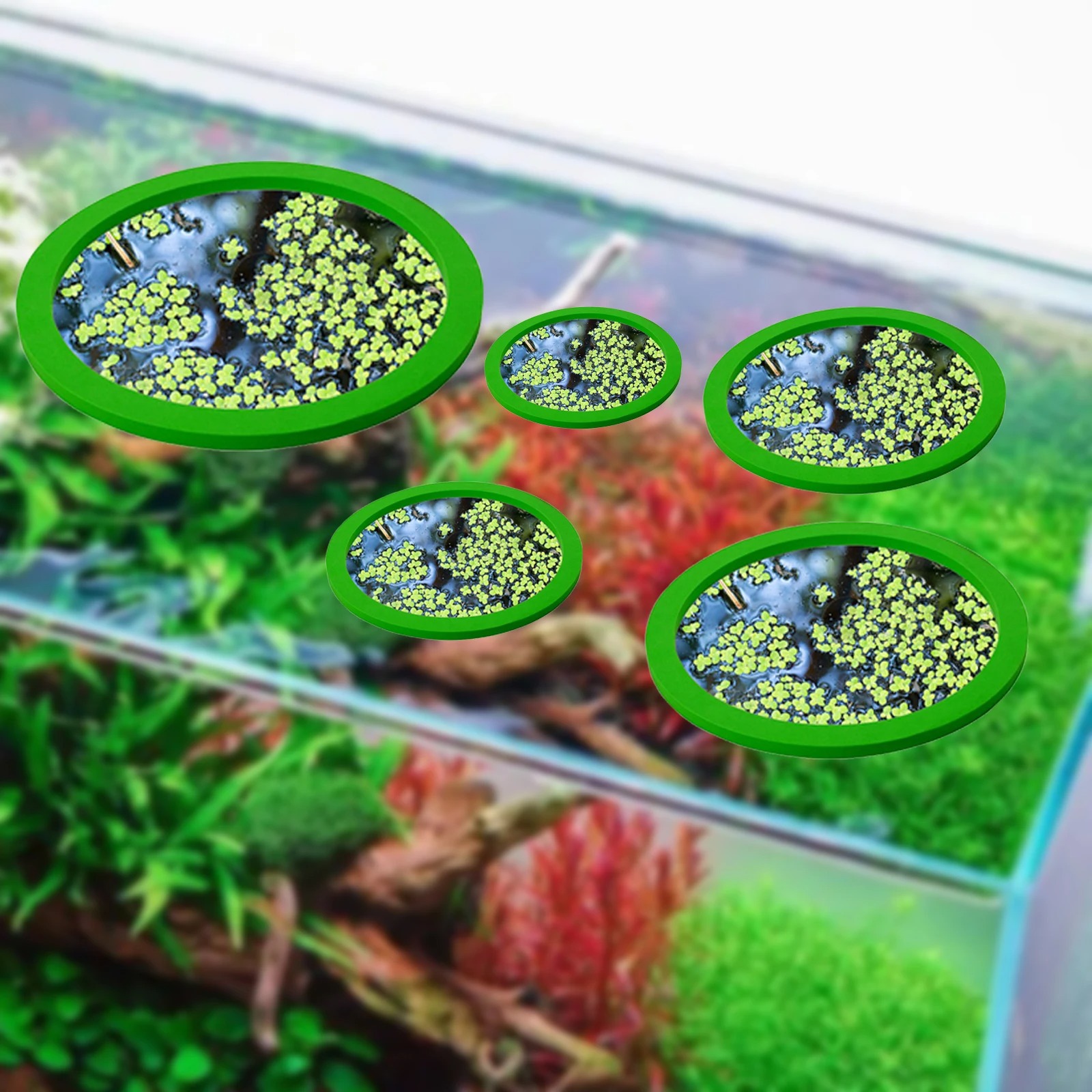 5Pcs EVA Fish Feeding Ring Aqu - Aquarium Fish Food recension och pris