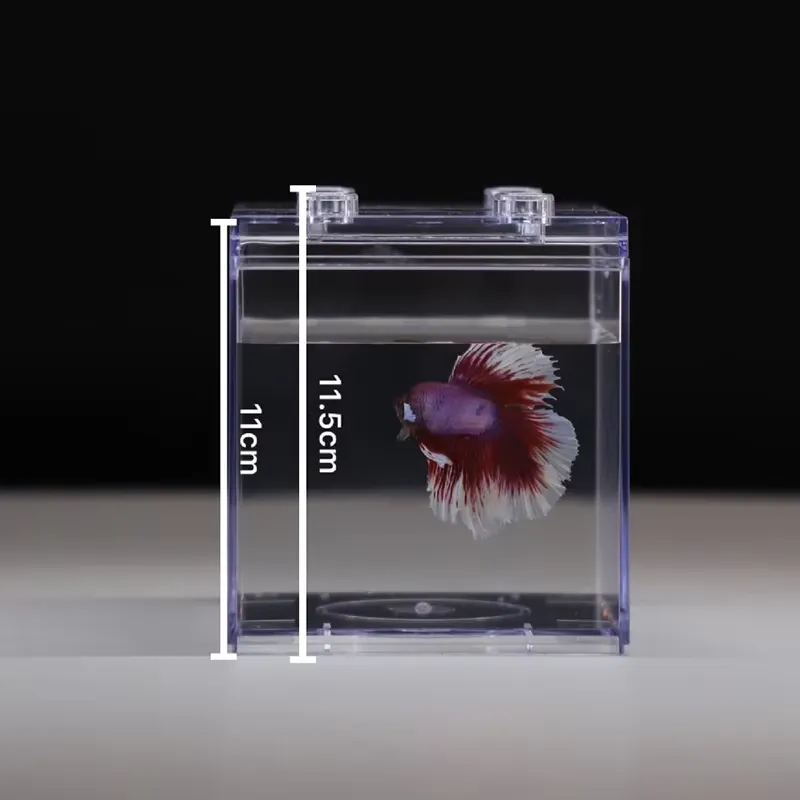 Relaxlines Mini Aquarium Box T - Aquarium Mini Fish recension och pris