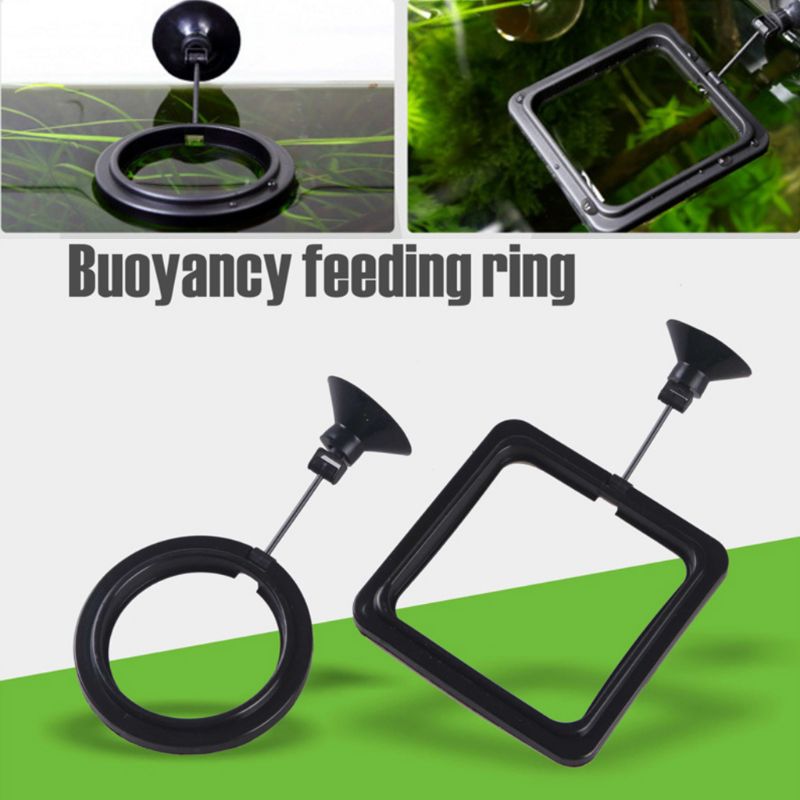 Aquarium Fish Feeding Ring Fis - Aquarium Fish Price recension och pris